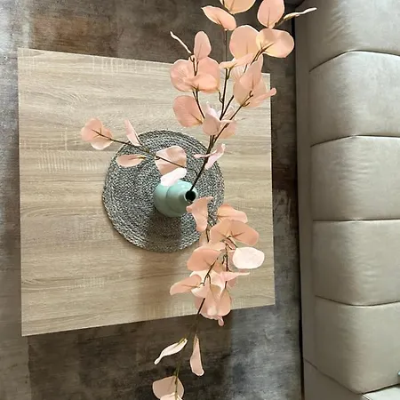 Teodora Апартаменты