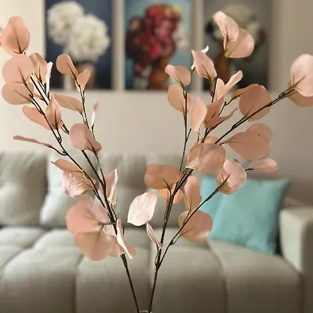 Teodora Апартаменты