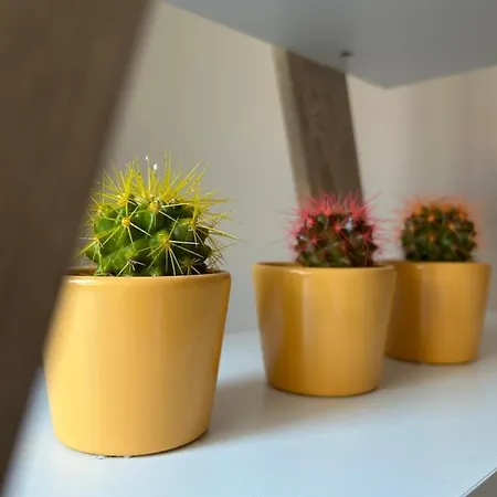 Teodora Суботица