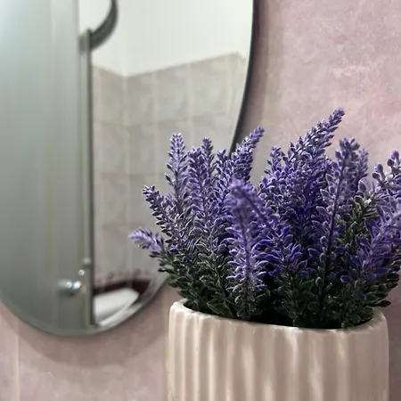 Teodora * Суботица