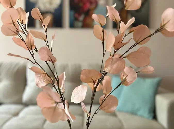 Teodora Διαμέρισμα