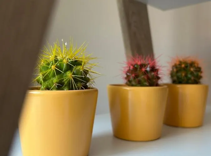 Teodora Σουμπότικα