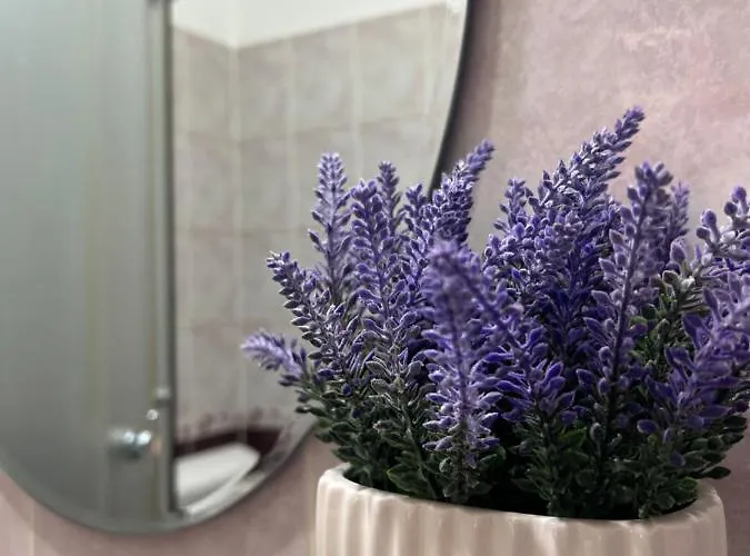 Teodora * Σουμπότικα